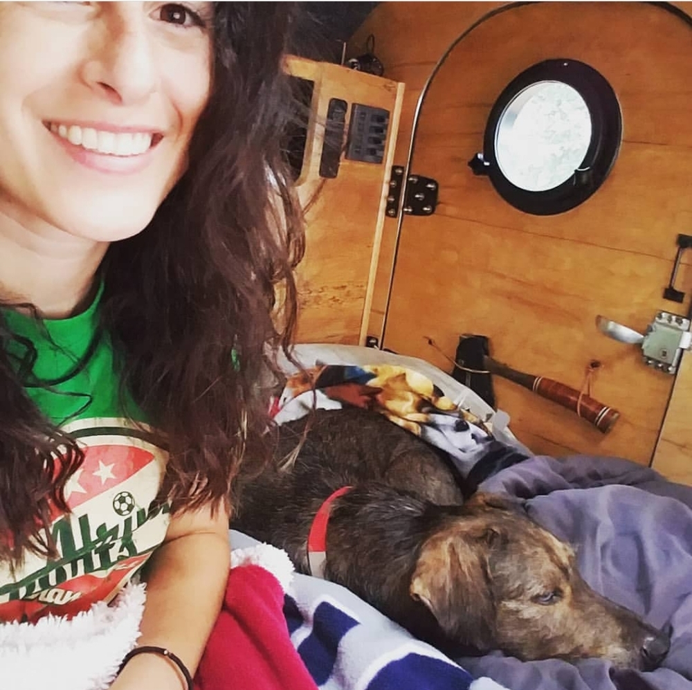 Meet your Posher, Regina